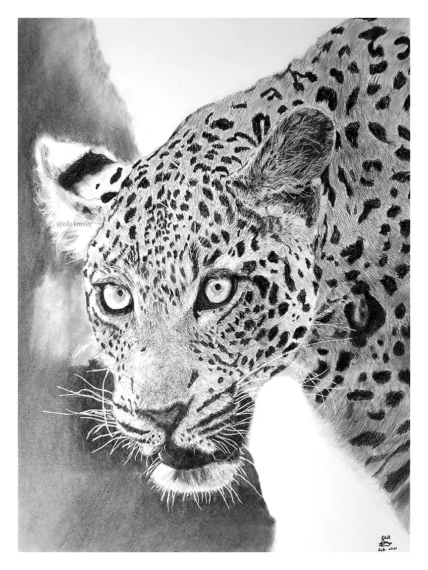 WhatsApp Image 2025-04-25 at 9.39.40 AM